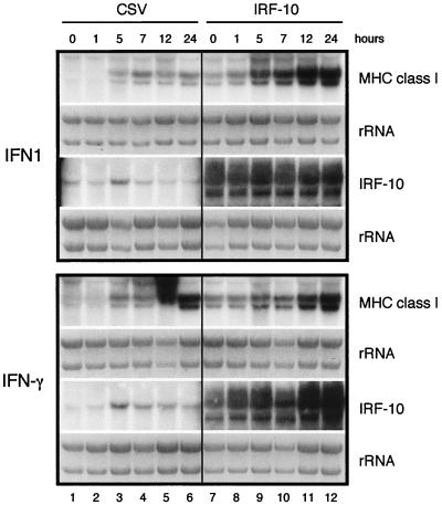 FIG. 9.