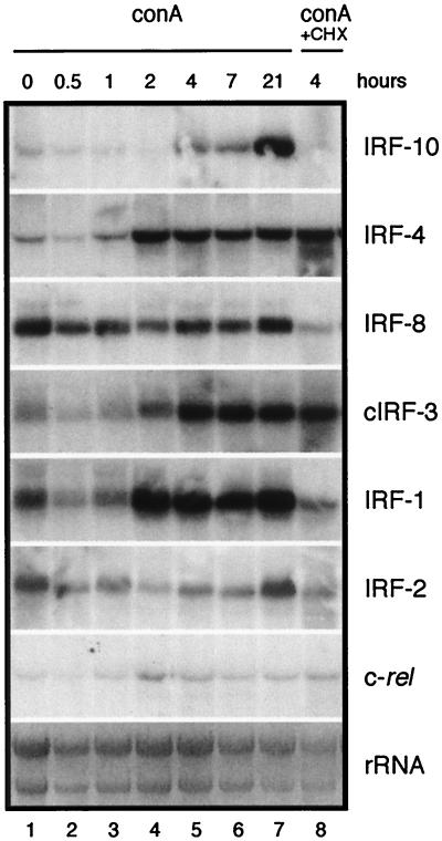 FIG. 7.