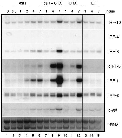 FIG. 5.