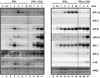 FIG. 6.