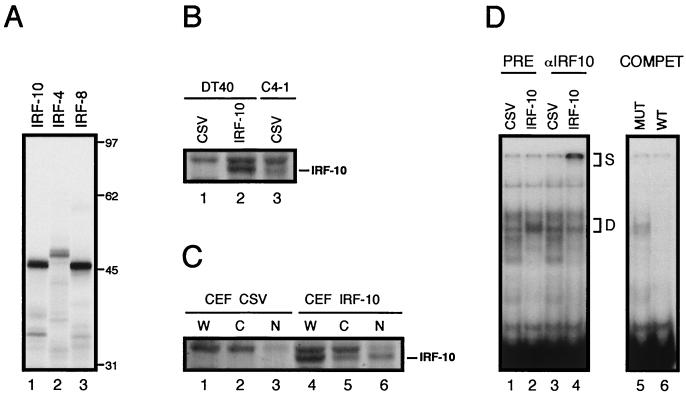 FIG. 3.