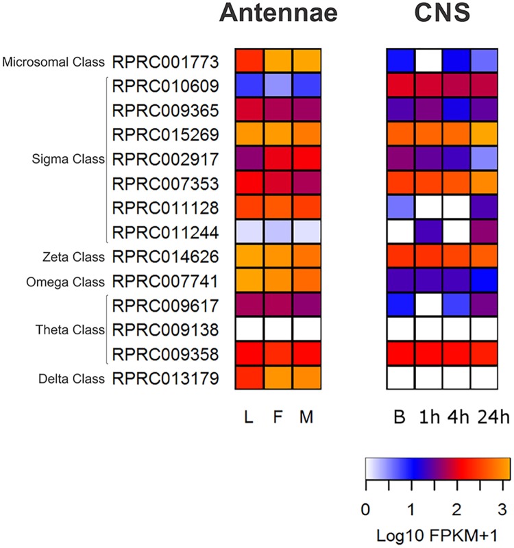 Fig 6