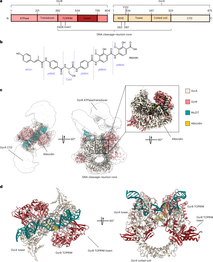 Fig. 1