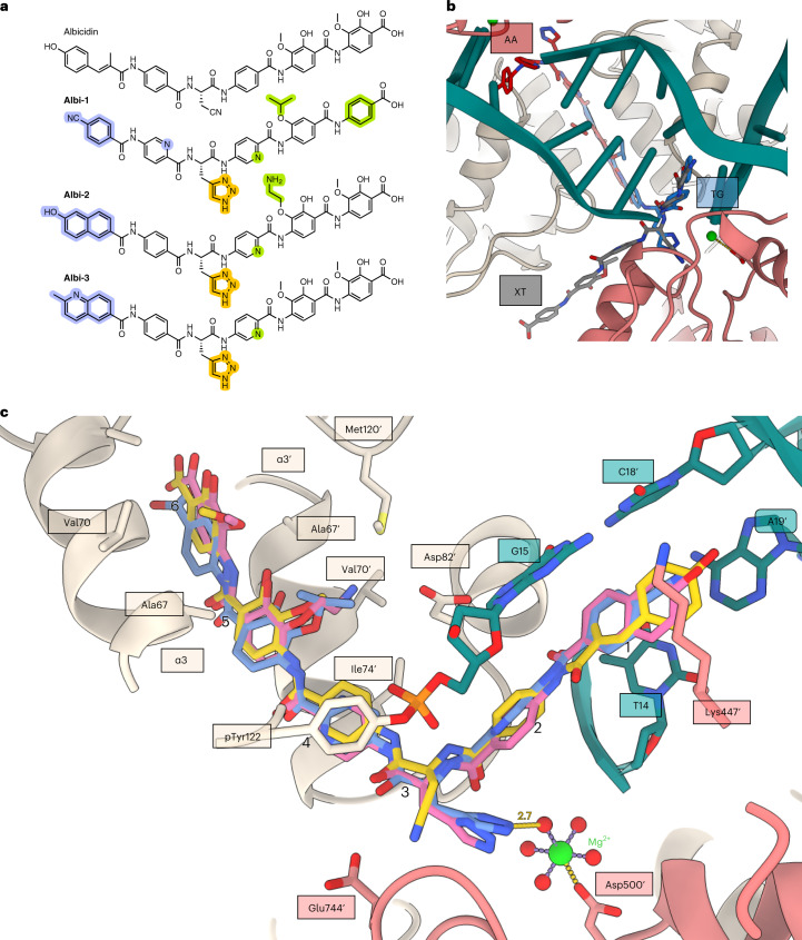 Fig. 3