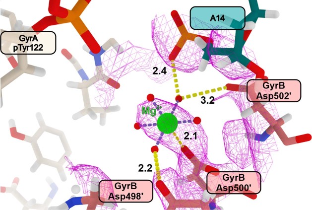 Extended Data Fig. 6