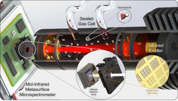 graphic file with name 41378_2024_697_Figa_HTML.jpg