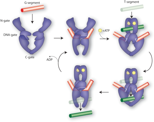 Figure 2.