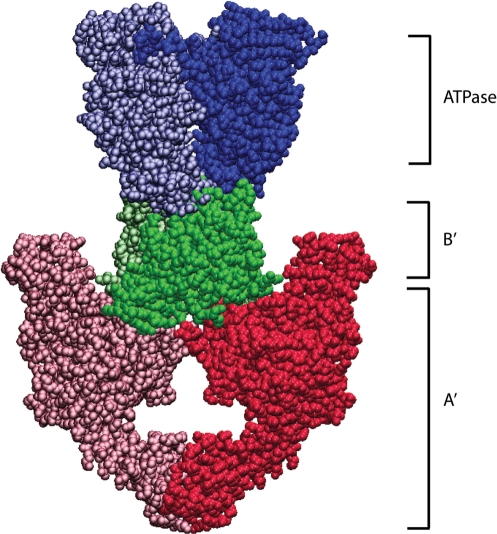 Figure 1.