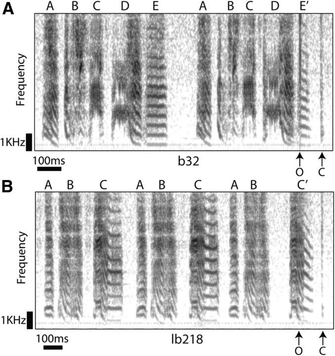 Figure 4.