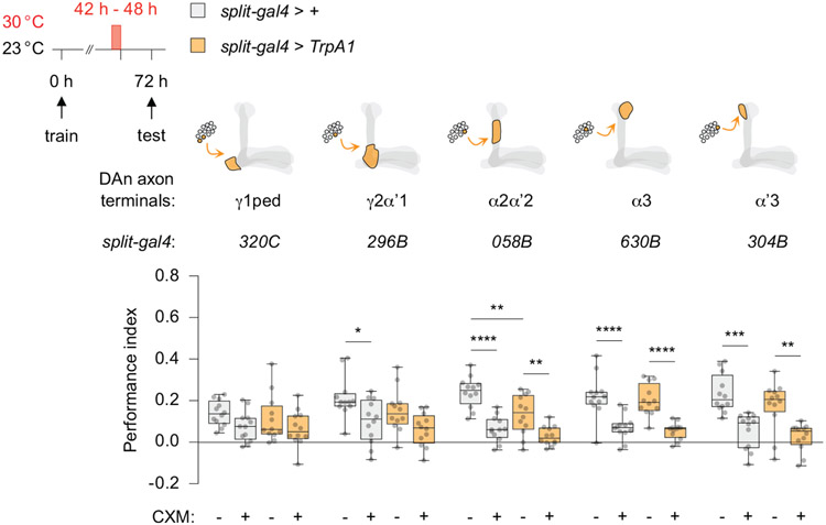 Extended Data Fig 3.