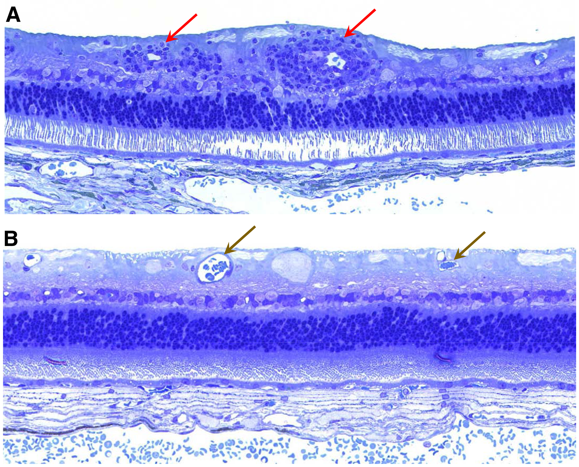 Figure 14.