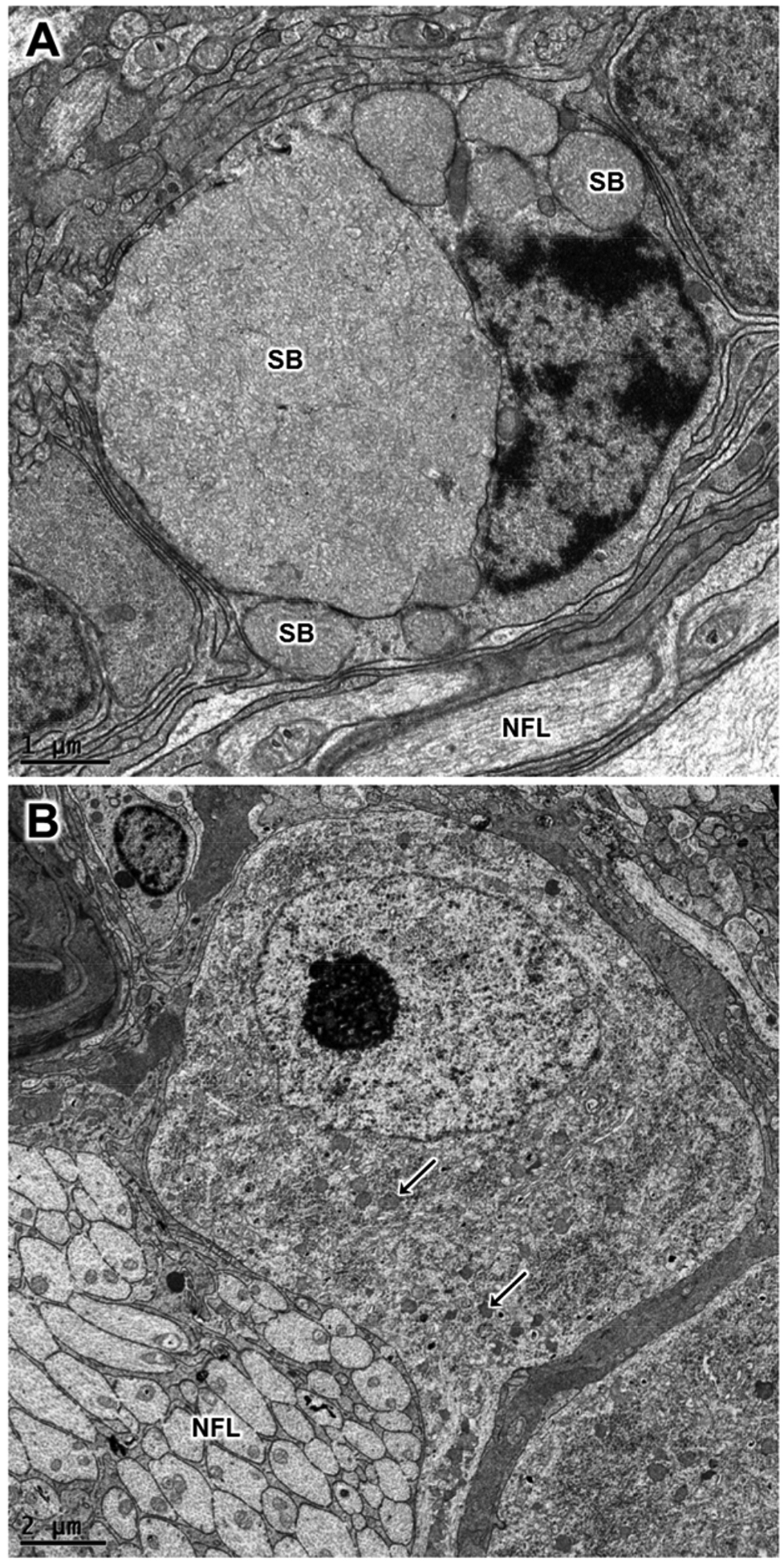 Figure 10.