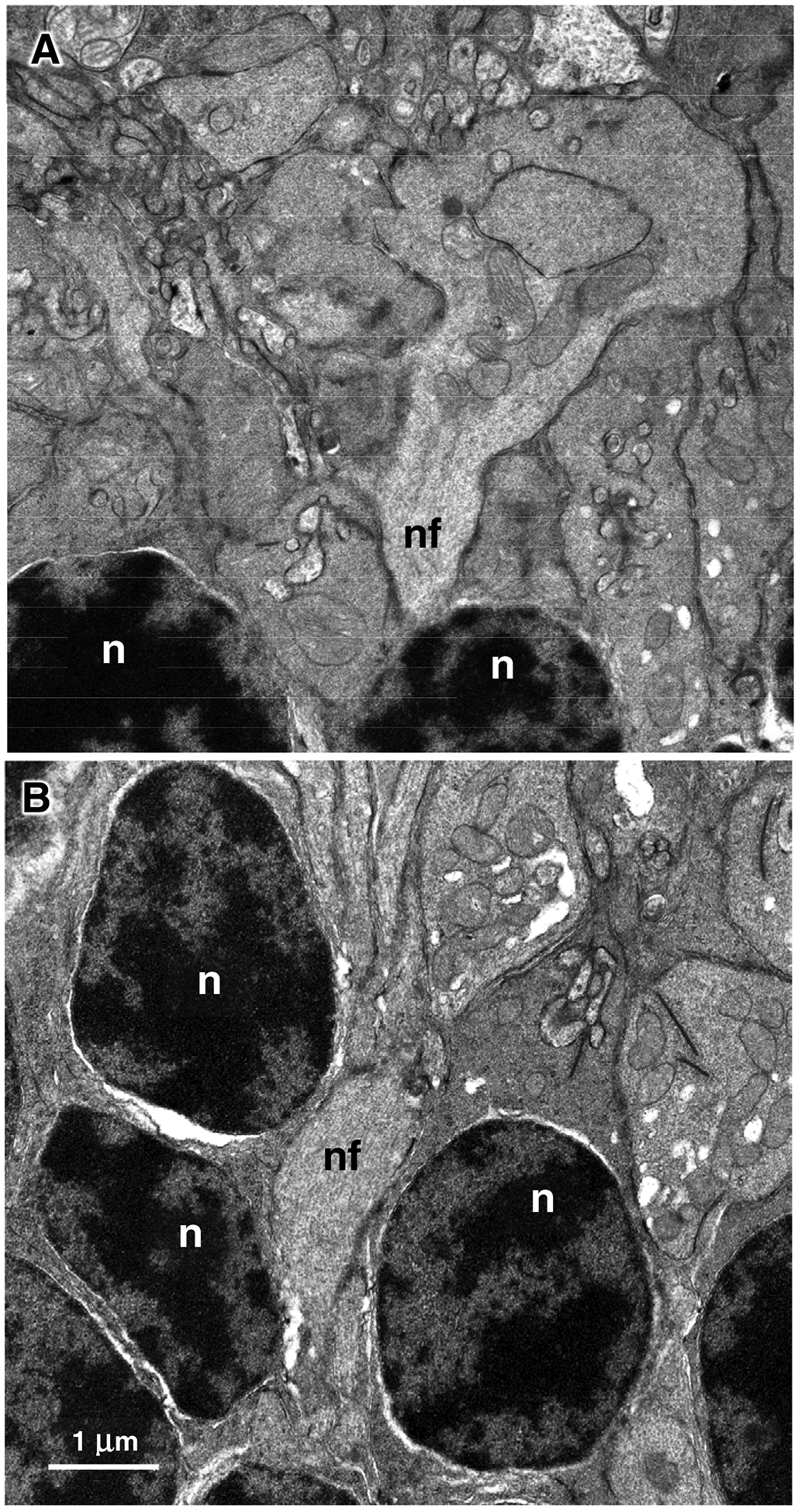 Figure 12.