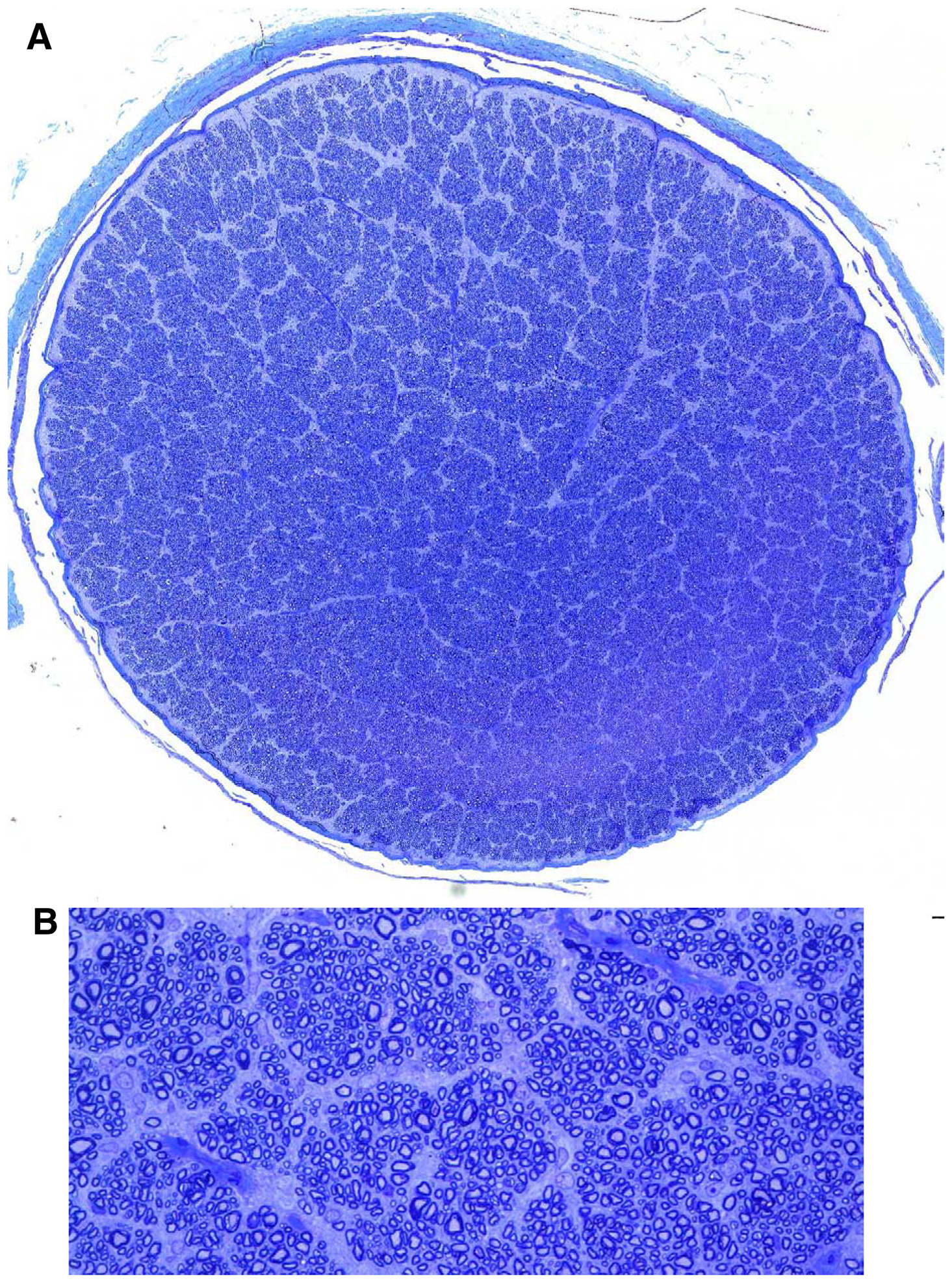 Figure 9.