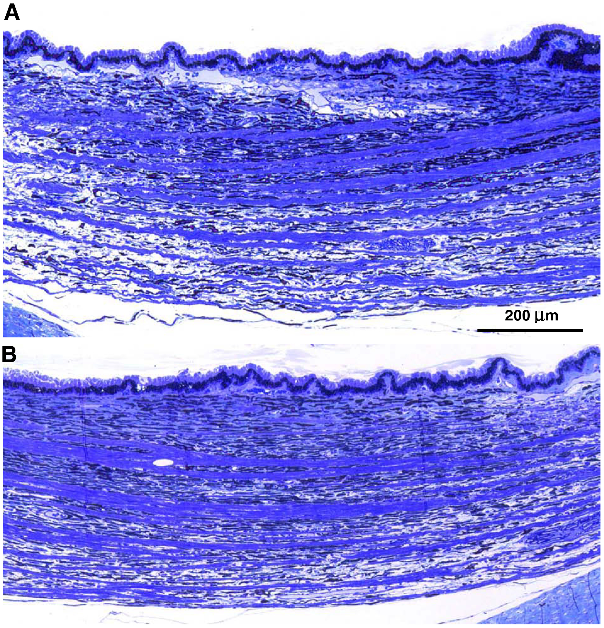 Figure 13.