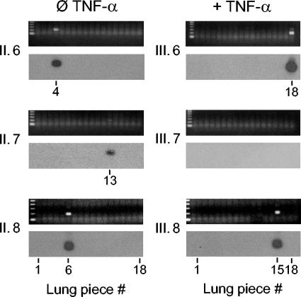 FIG. 8.