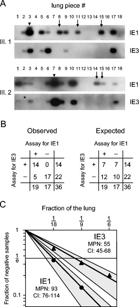 FIG. 7.