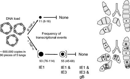 FIG. 9.