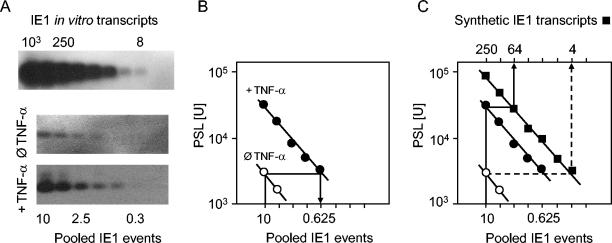 FIG. 5.