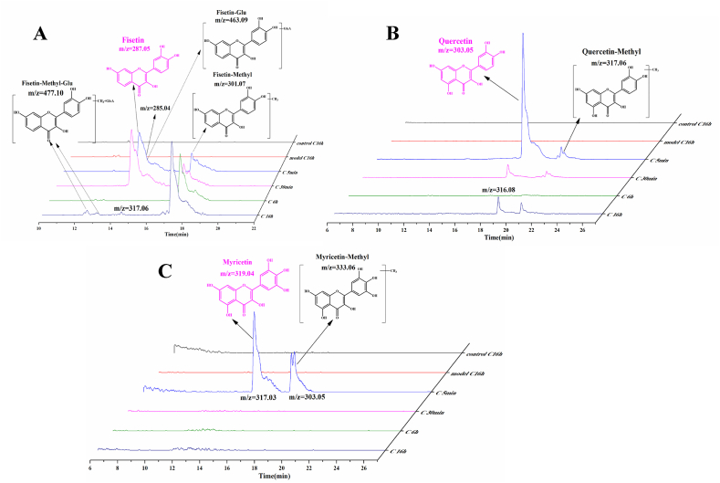 Fig. 6