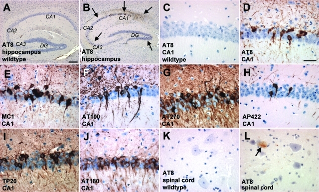 Figure 2-6933