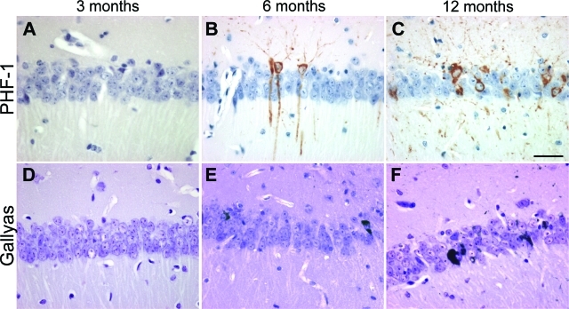 Figure 3-6933