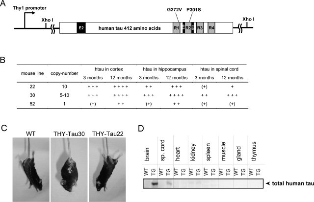 Figure 1-6933