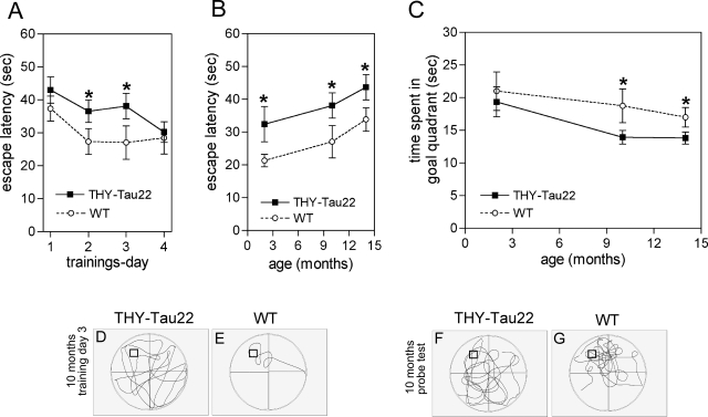 Figure 10-6933