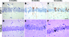 Figure 3-6933