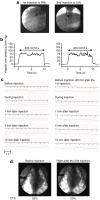 <b>Figure 6</b>