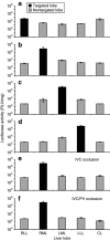 <b>Figure 5</b>