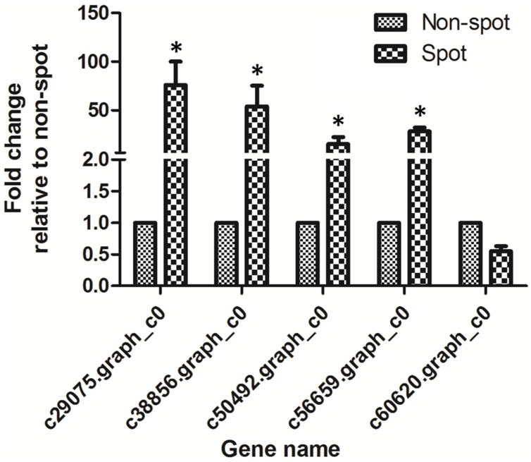 FIGURE 6