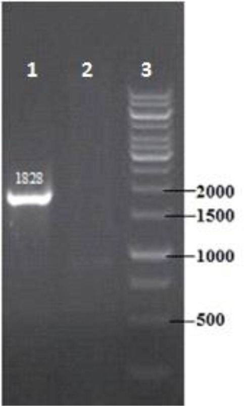 Fig. 3: