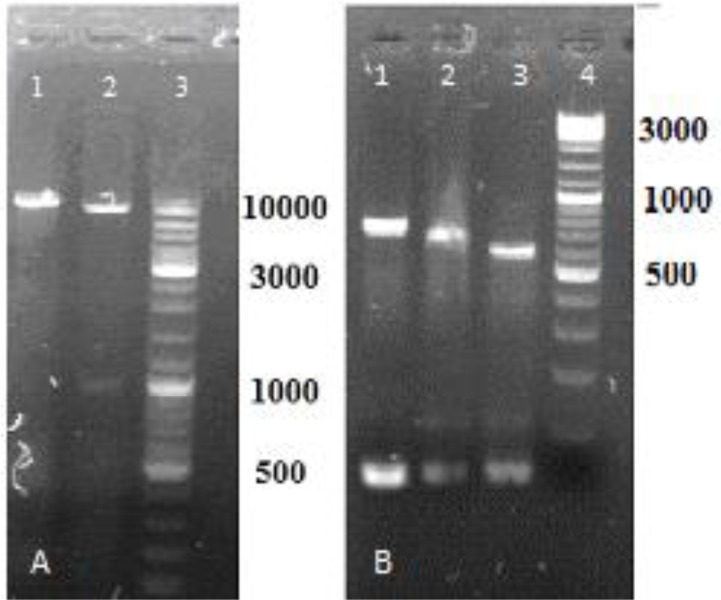 Fig. 1: