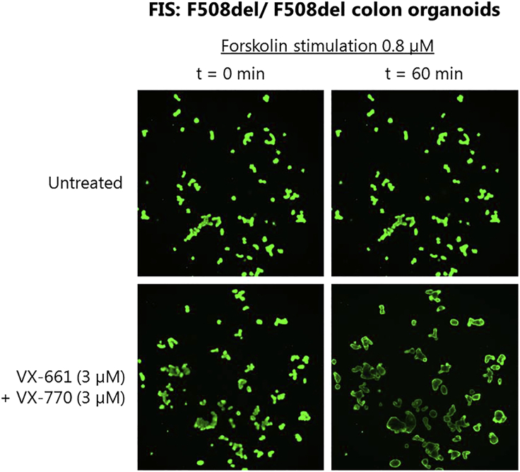 Figure 12