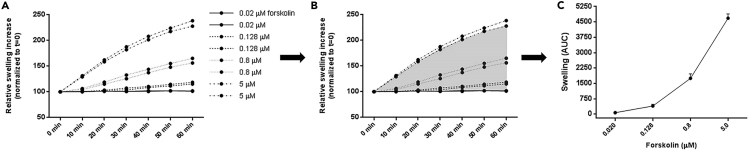 Figure 13