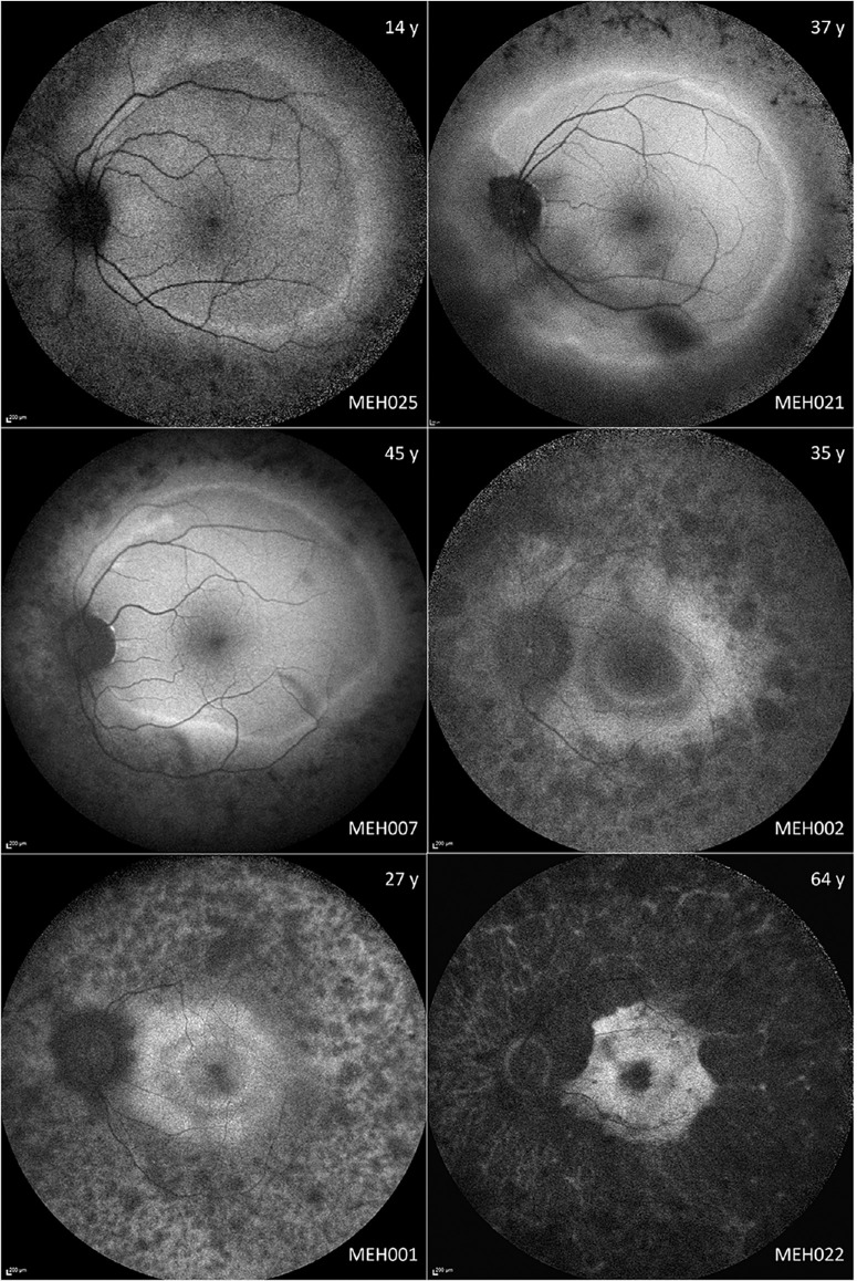 Figure 3.