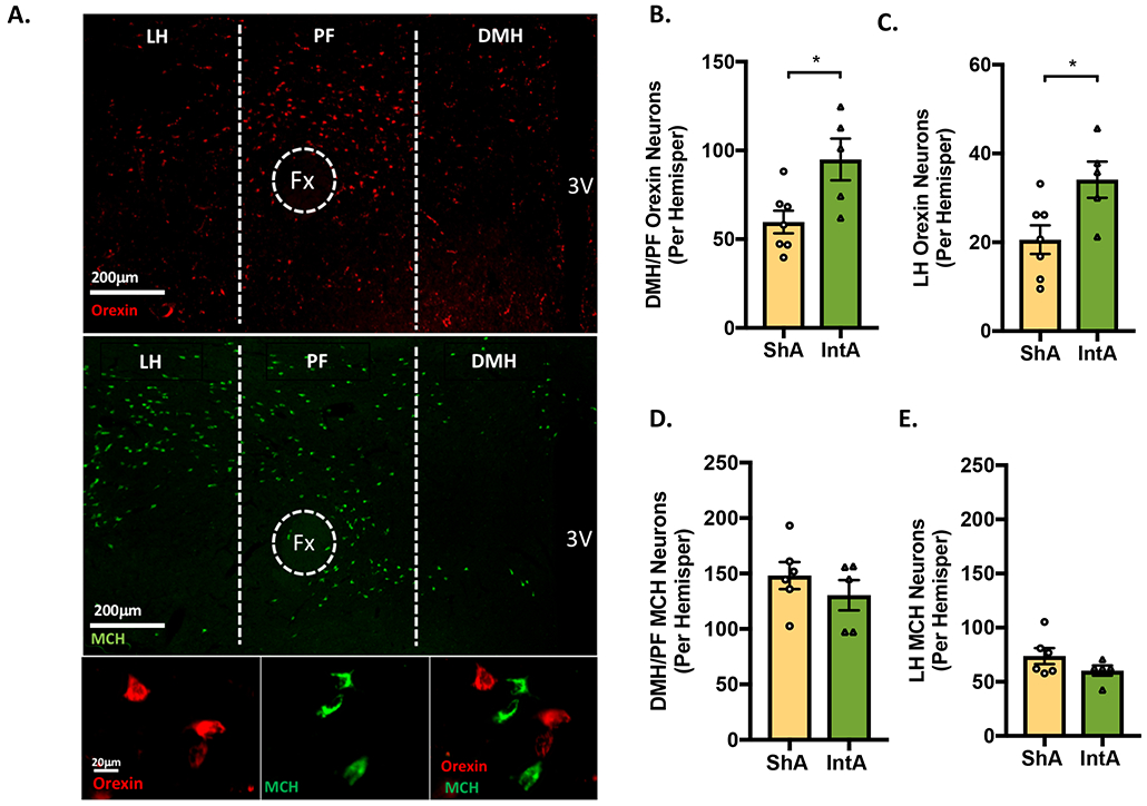 Figure 3.