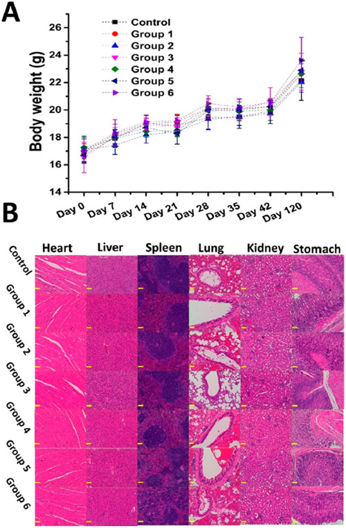 Figure 7.