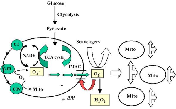 Fig. 3