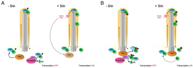 Fig. 8.