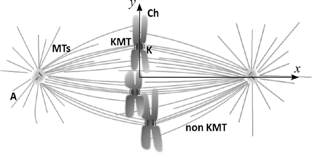 FIG. 1