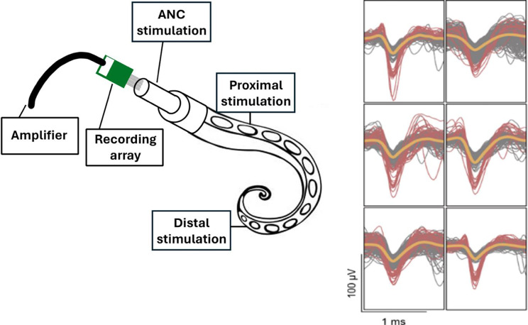 Figure 1: