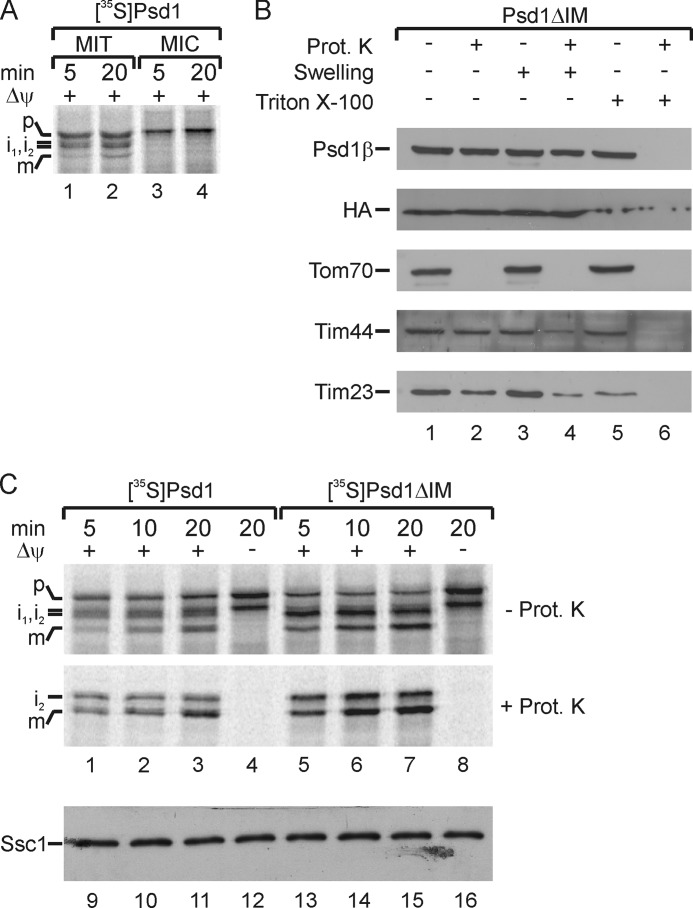 FIGURE 5.