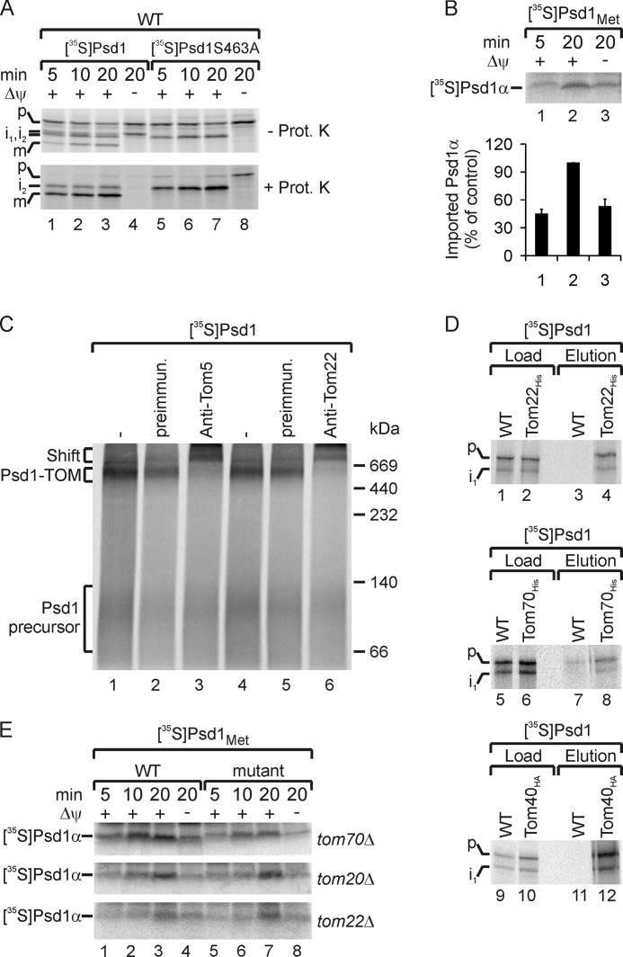 FIGURE 4.