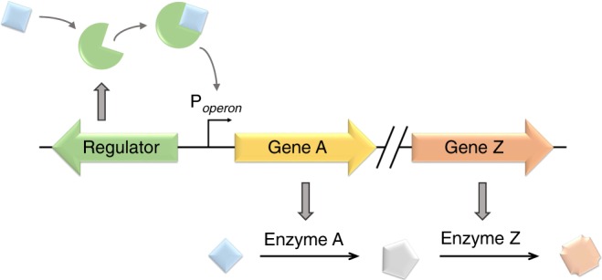 Fig. 1