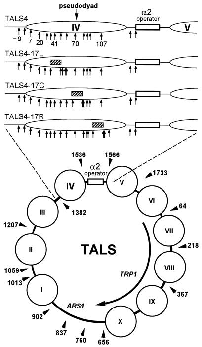 FIG. 1