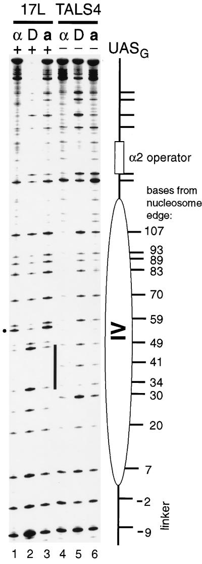 FIG. 9