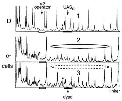 FIG. 7