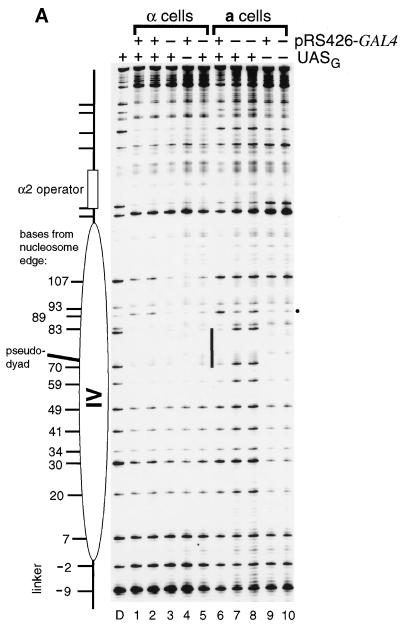 FIG. 5